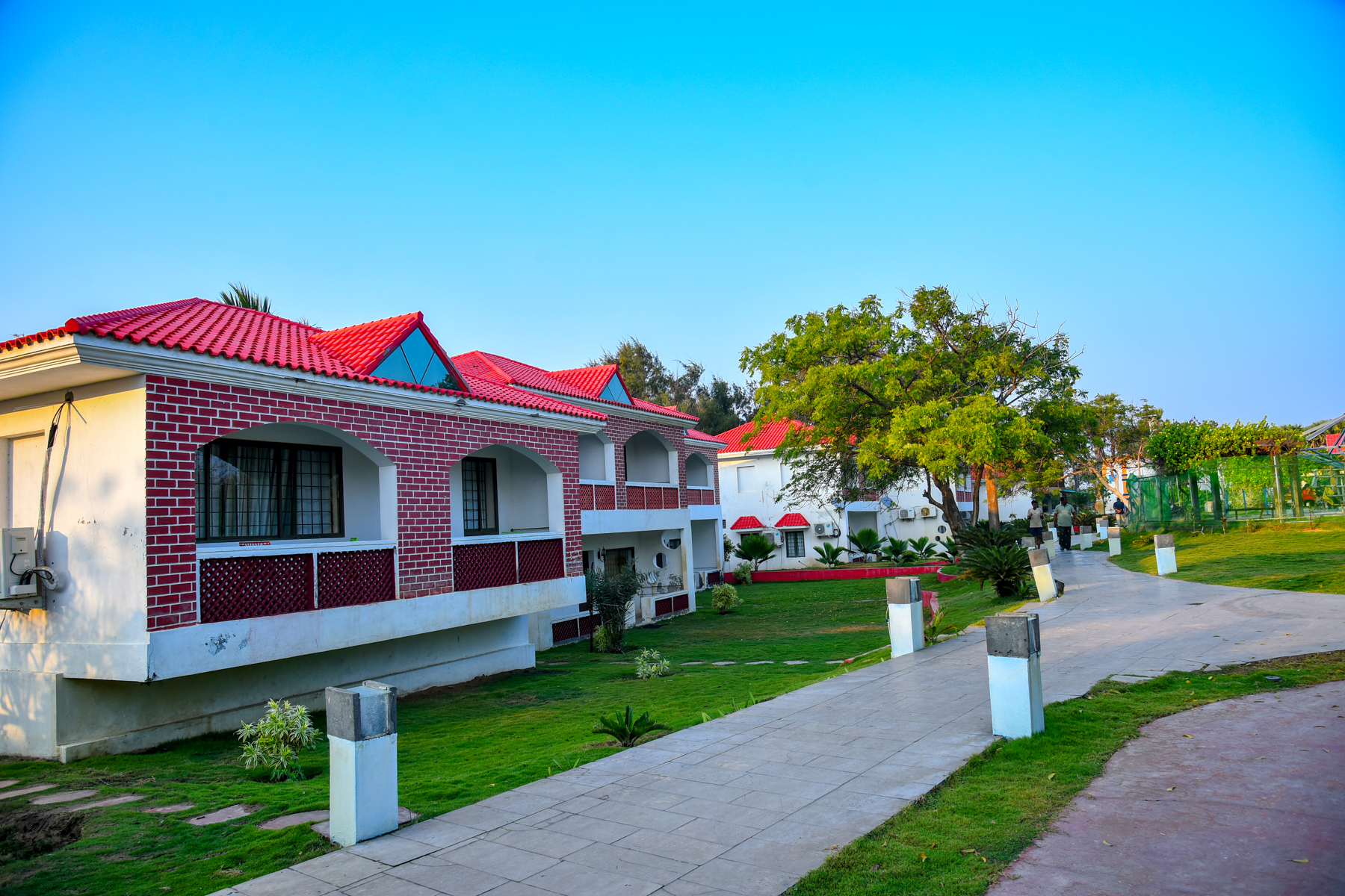 DVK_5194 (1)